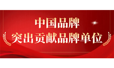 南宫NG28电梯获评“凸起贡献品牌单元”，设置中国品牌标杆力量